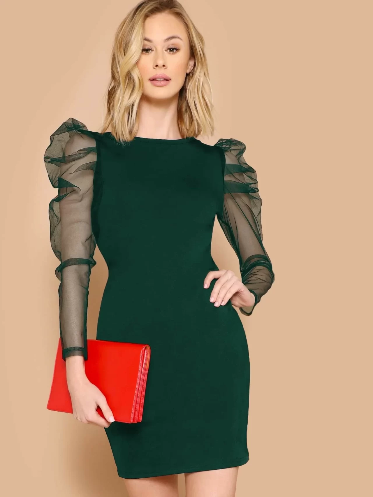 Mesh Leg-of-mutton Sleeve Fitted Dress