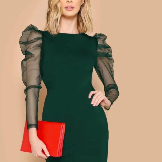 Mesh Leg-of-mutton Sleeve Fitted Dress